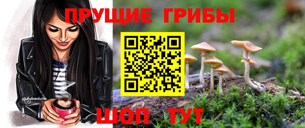 Галлюциногенные грибы прущие грибы  Вход с VPN  Лесосибирск 